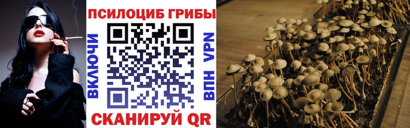 Галлюциногенные грибы Psilocybe Маркс